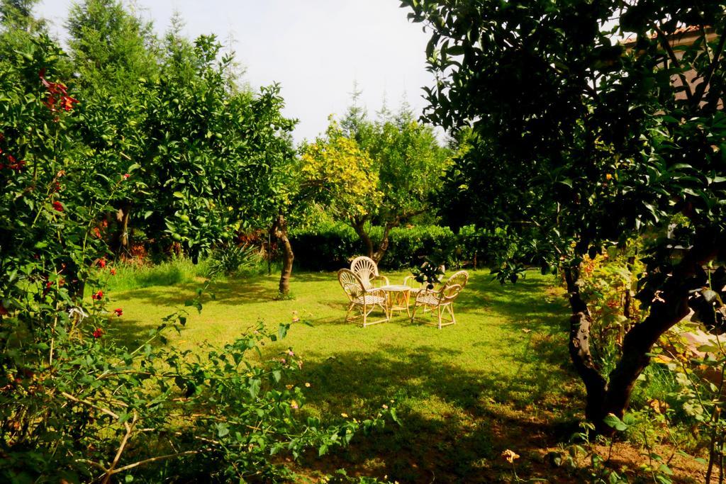 Residenza La Vigna Aparthotel Parghelia Exterior photo